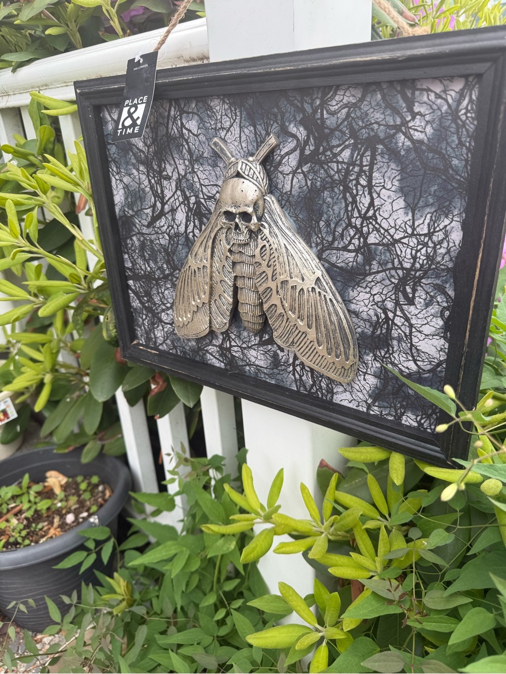 Place & Time Skull Moth Wall Art - Black and Antique Gold NWT